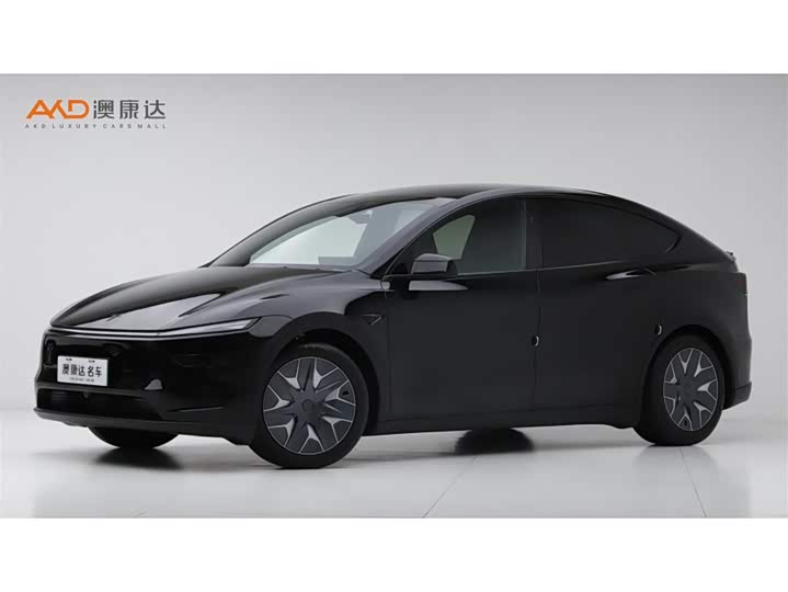Tesla Model Y 2025 2025款 长续航全轮驱动版