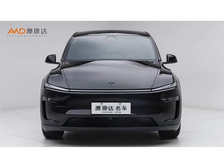 Tesla Model Y 2025 2025款 长续航全轮驱动版