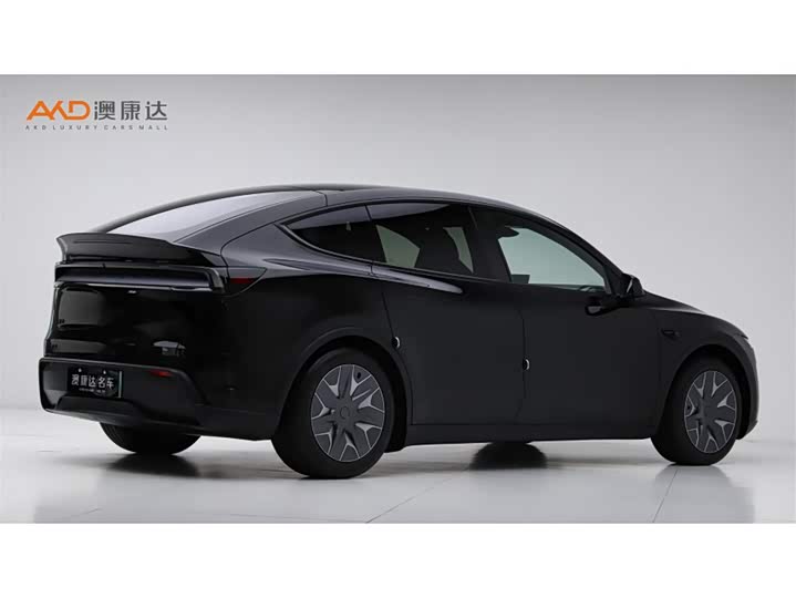 Tesla Model Y 2025 2025款 长续航全轮驱动版