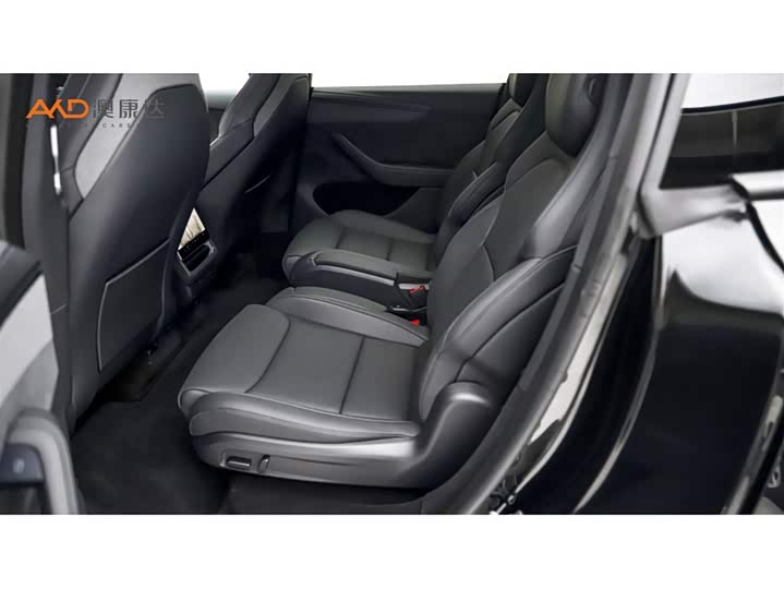 Tesla Model Y 2025 2025款 长续航全轮驱动版