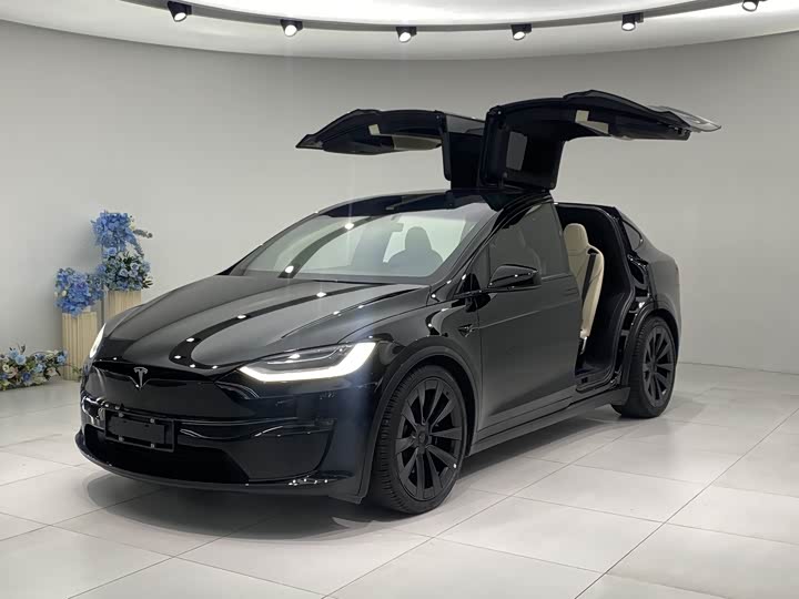Tesla Model X 2023 2023款 双电机全轮驱动版