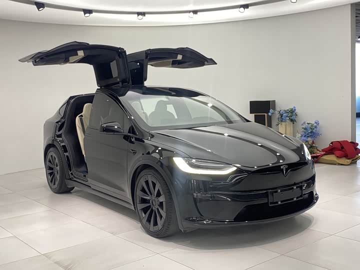 Tesla Model X 2023 2023款 双电机全轮驱动版