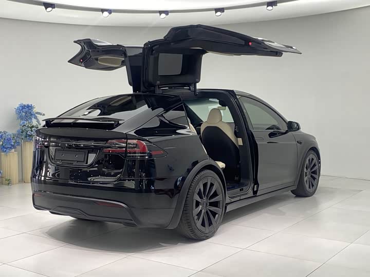 Tesla Model X 2023 2023款 双电机全轮驱动版