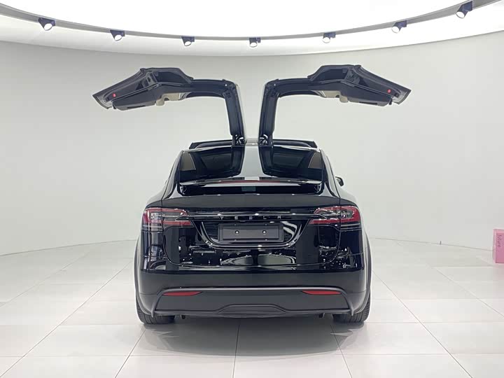 Tesla Model X 2023 2023款 双电机全轮驱动版