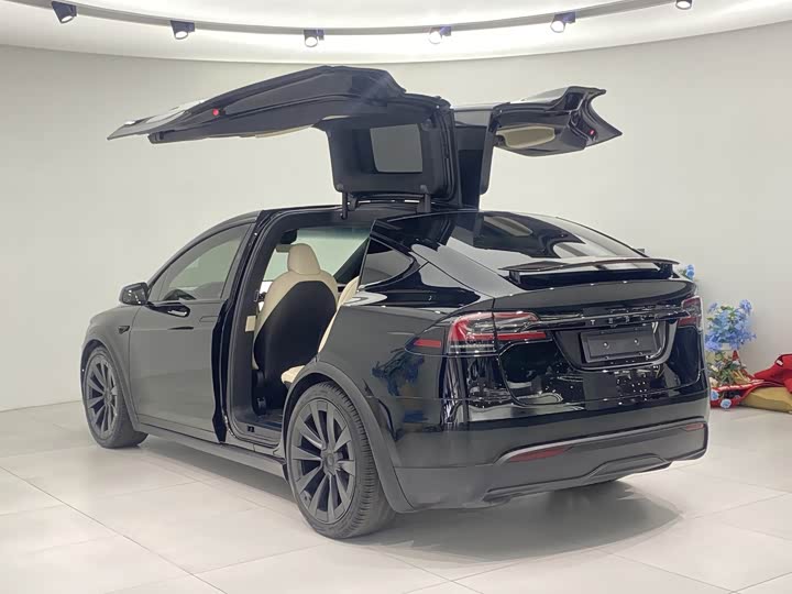 Tesla Model X 2023 2023款 双电机全轮驱动版