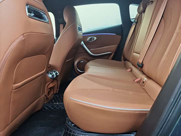 Ora Lightning Cat (07) 2022 2022款 555km 豪华版