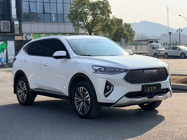 2021 Haval F7