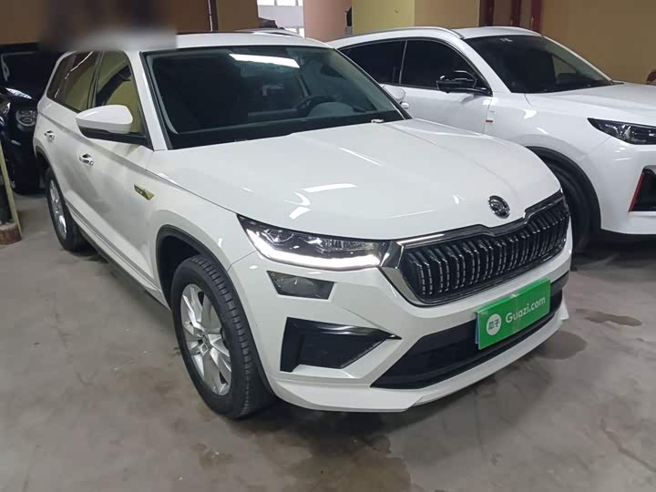 Skoda Kodiaq 2022 2022款 TSI330 5座两驱尊享版