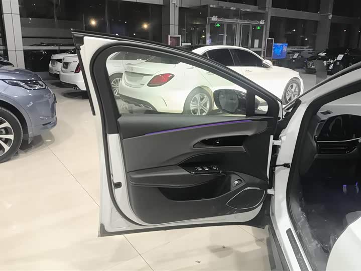 Hongqi EH7 2024 2024款 690 Pro