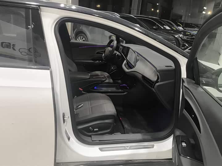 Hongqi EH7 2024 2024款 690 Pro