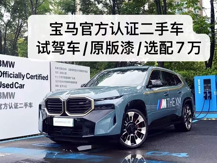 BMW XM 2023 2023款 基本型