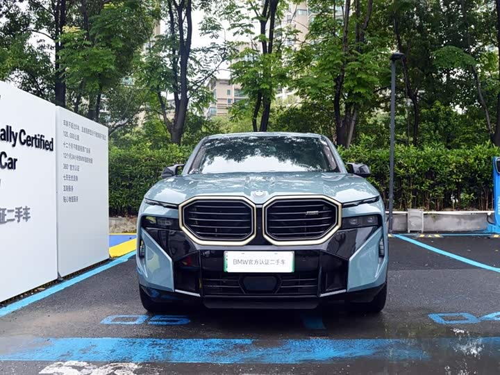 BMW XM 2023 2023款 基本型