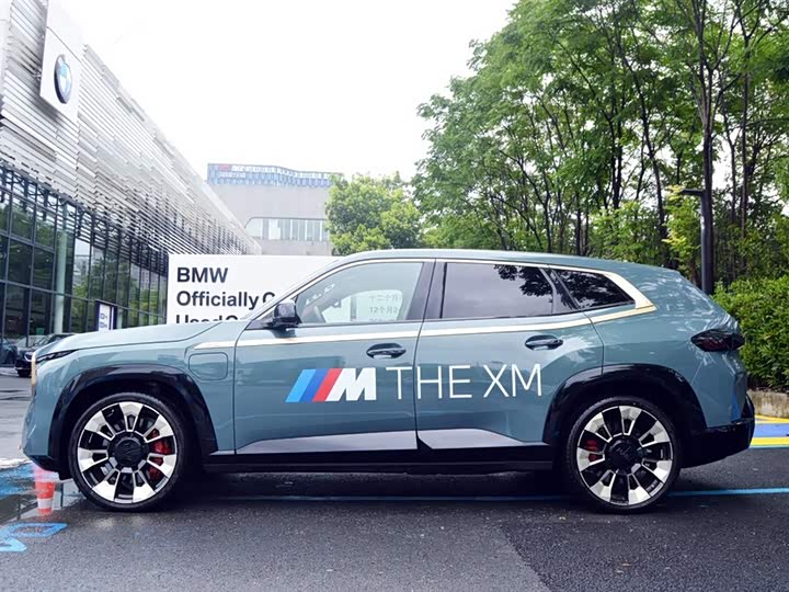 BMW XM 2023 2023款 基本型