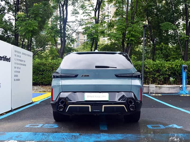 BMW XM 2023 2023款 基本型