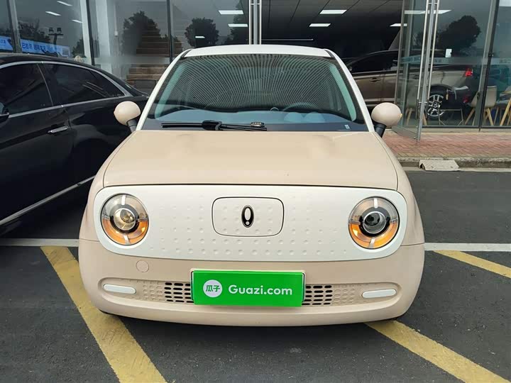 Ora Black Cat 2022 2022款 301km 萌宠版 磷酸铁锂