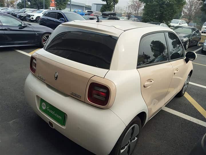 Ora Black Cat 2022 2022款 301km 萌宠版 磷酸铁锂