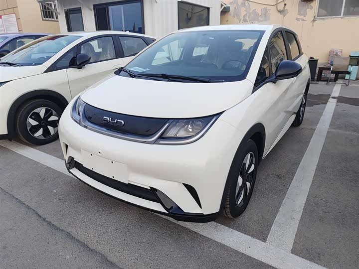 BYD Dolphin 2025 2025款 420km 自由版