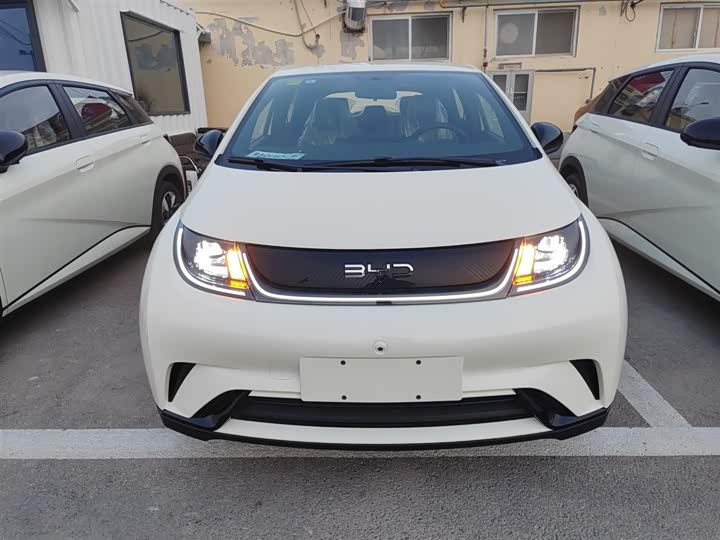 BYD Dolphin 2025 2025款 420km 自由版