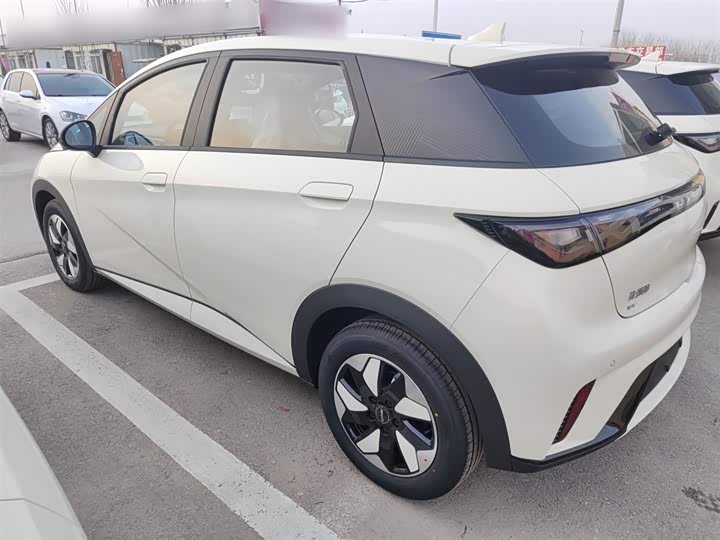 BYD Dolphin 2025 2025款 420km 自由版