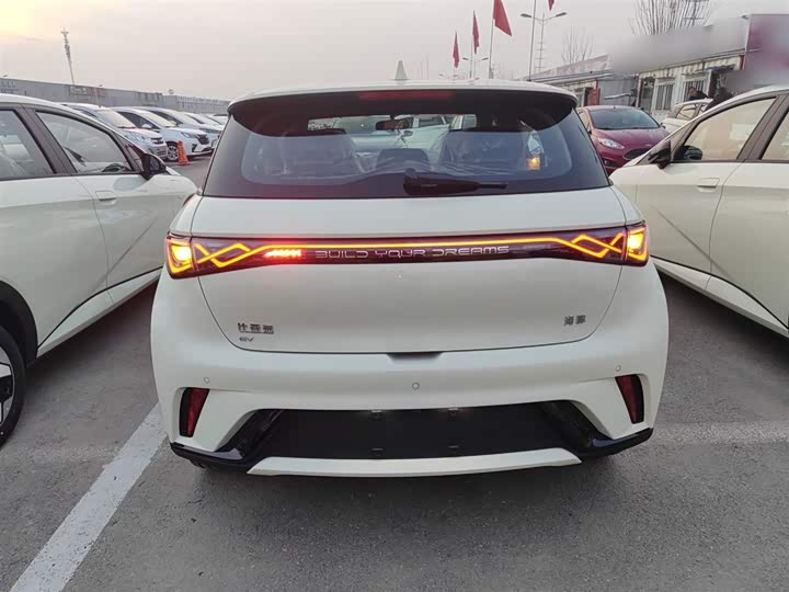 BYD Dolphin 2025 2025款 420km 自由版