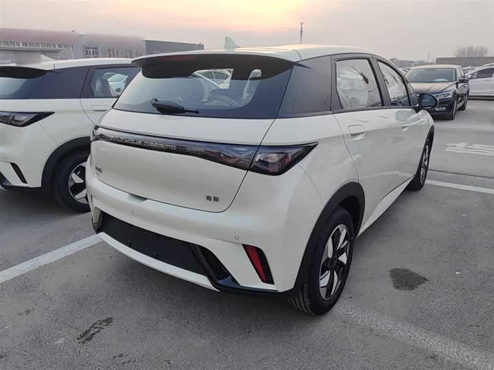 BYD Dolphin 2025 2025款 420km 自由版