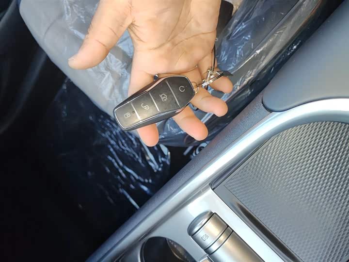 BYD Dolphin 2025 2025款 420km 自由版