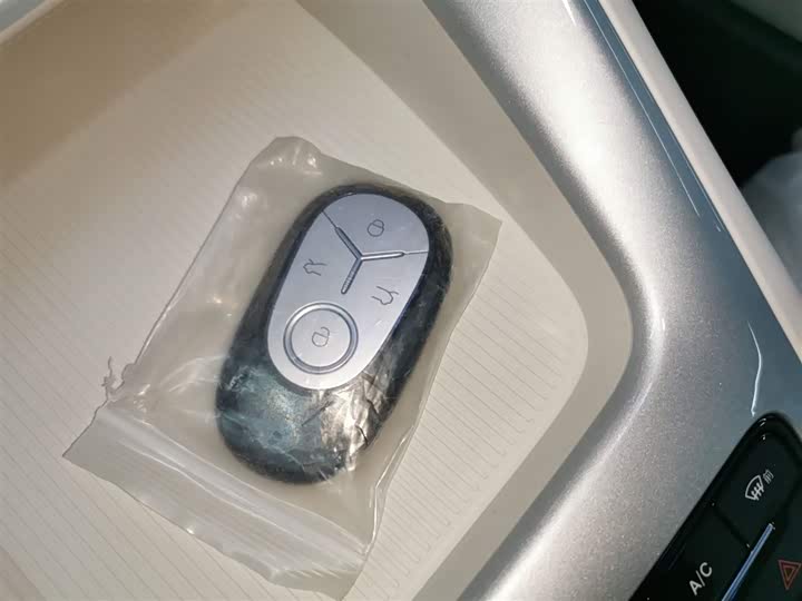 Geely Galaxy Geome 2026 2026款 410km 自在版