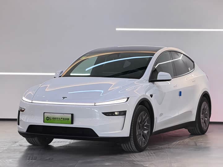 Tesla Model Y 2025 2025款 长续航全轮驱动版