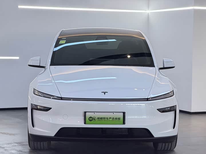 Tesla Model Y 2025 2025款 长续航全轮驱动版