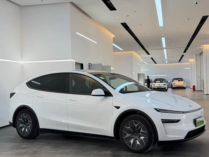 Tesla Model Y 2025 2025款 长续航全轮驱动版