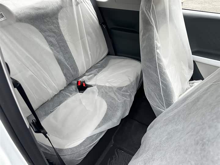 Geely Galaxy Panda Mini 2025 2025款 210km 熊猫骑士