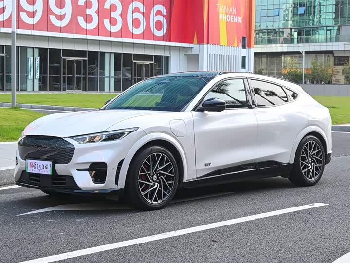 Ford Mustang Mach-E 2021 2021款 GT