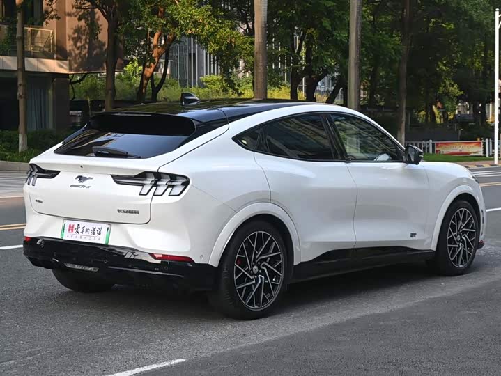 Ford Mustang Mach-E 2021 2021款 GT