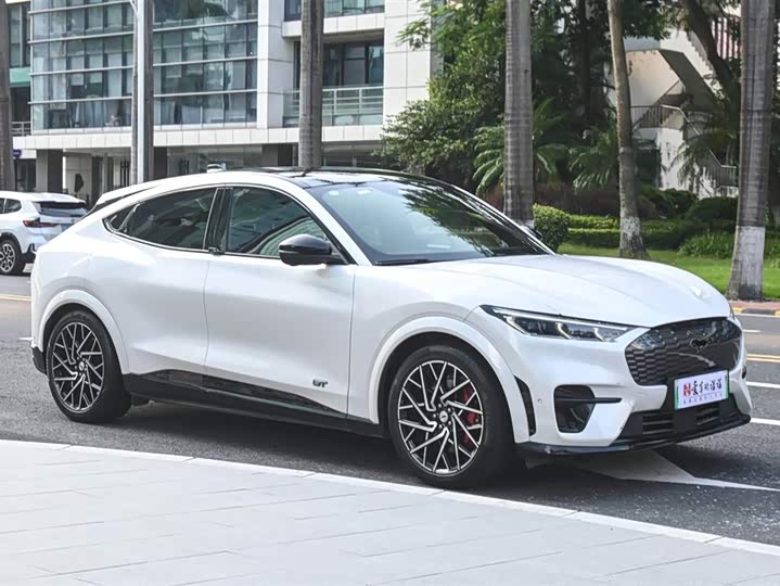 Ford Mustang Mach-E 2021 2021款 GT