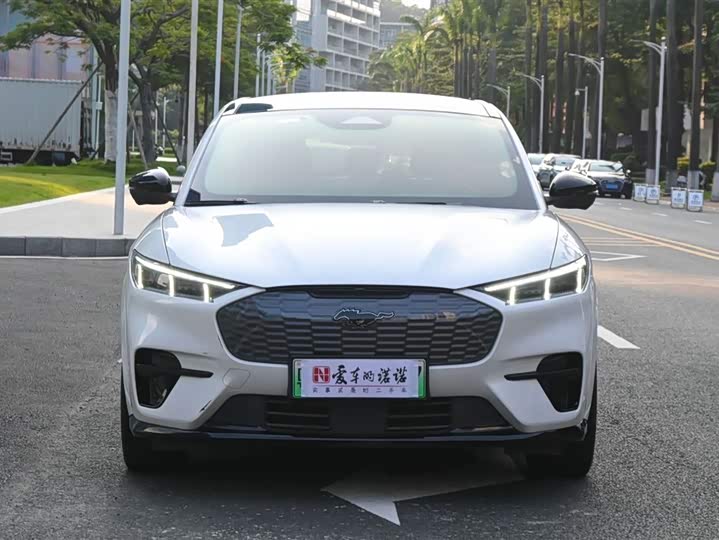 Ford Mustang Mach-E 2021 2021款 GT