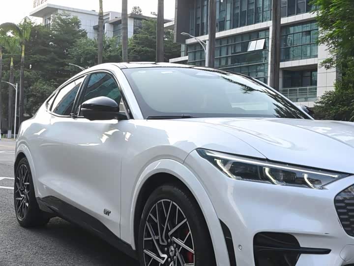 Ford Mustang Mach-E 2021 2021款 GT