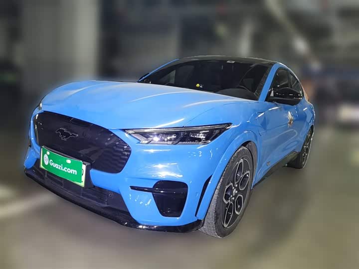 Ford Mustang Mach-E 2021 2021款 GT