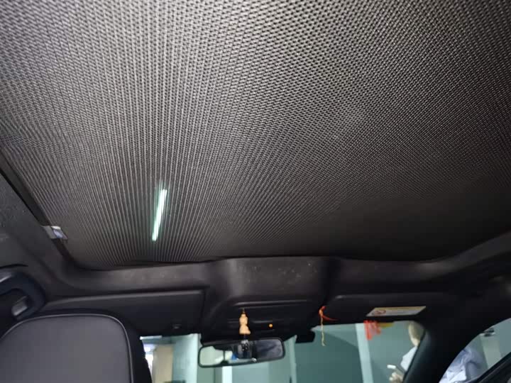 Ford Mustang Mach-E 2021 2021款 GT