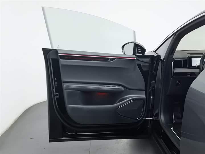 HiPhi X 2021 2021款 豪华版6座