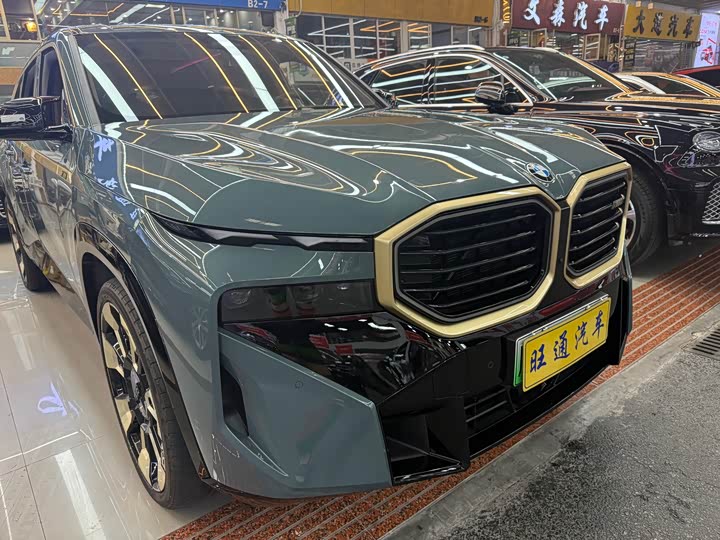 BMW XM 2023 2023款 50e