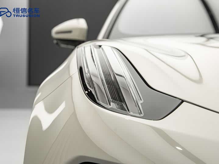 Zeekr 001 2025 2025款 YOU版 100kWh 四驱