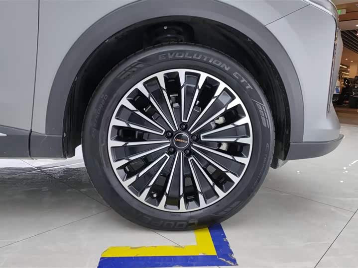 Exeed RX C-DM Hybrid 2024 2024款 1.5T 长续航Pro