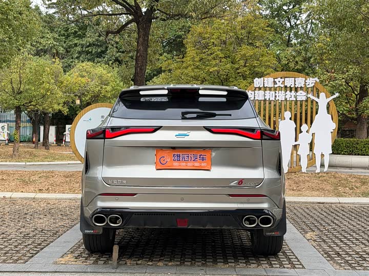 Changan Oshan Z6 2023 2023款 蓝鲸 1.5T DCT智领型