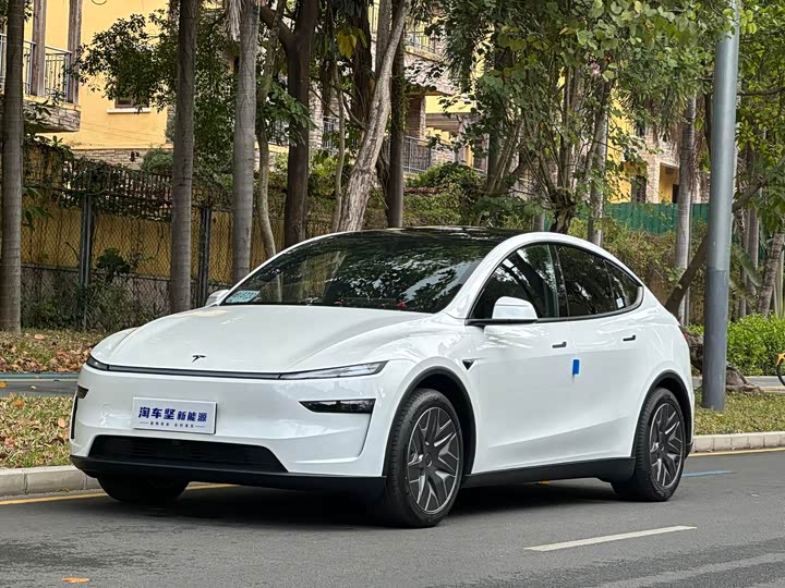 Tesla Model Y 2025 2025款 长续航全轮驱动版