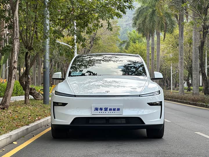 Tesla Model Y 2025 2025款 长续航全轮驱动版