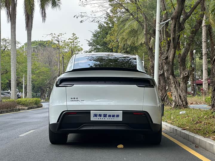 Tesla Model Y 2025 2025款 长续航全轮驱动版