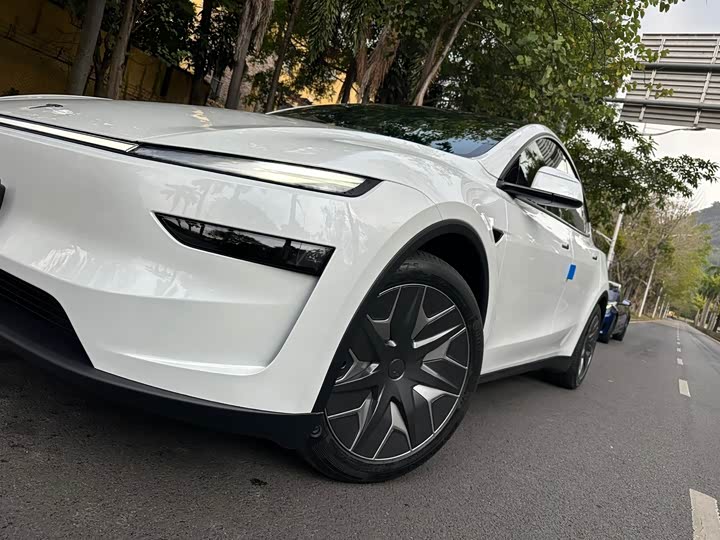 Tesla Model Y 2025 2025款 长续航全轮驱动版