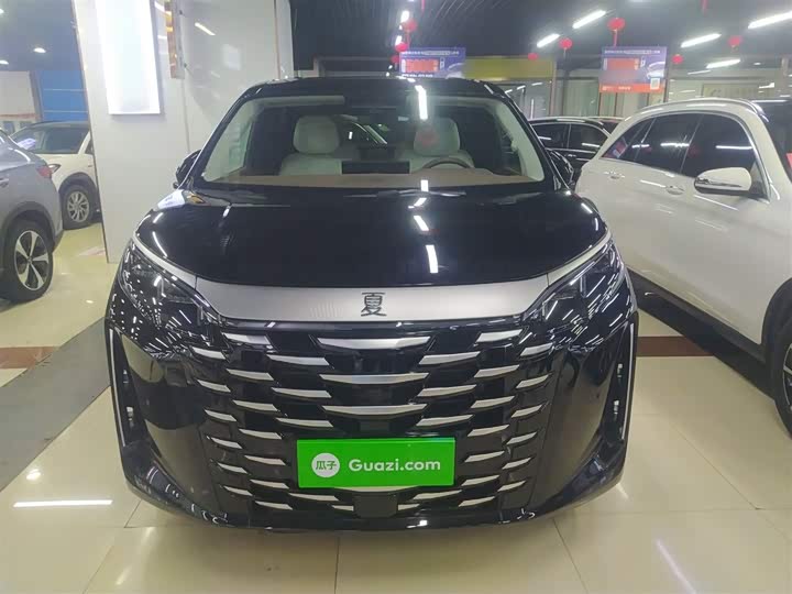 BYD Xia 2025 2025款 DM-i 1.5T 180km 卓越型