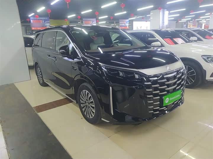 BYD Xia 2025 2025款 DM-i 1.5T 180km 卓越型