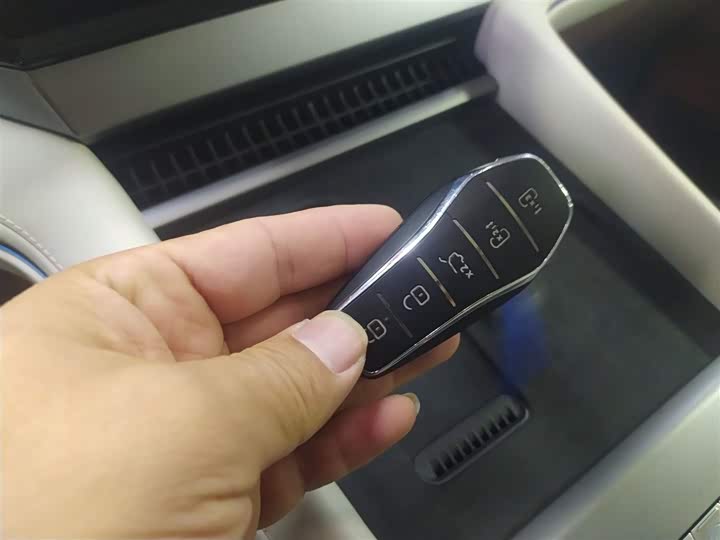 BYD Xia 2025 2025款 DM-i 1.5T 180km 卓越型